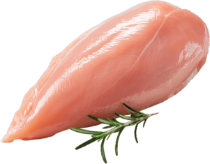 Свежее мясо курицы